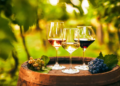 7 Questions About Natural Wine You’re Hesitant to Ask