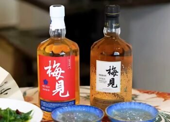 Market and Sales Analysis of Major Global Plum Wine Brands